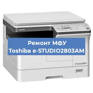 Замена МФУ Toshiba e-STUDIO2803AM в Новосибирске
